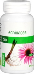 Echinacea capsule