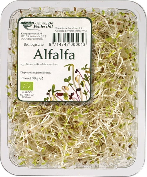 Kiemen alfalfa